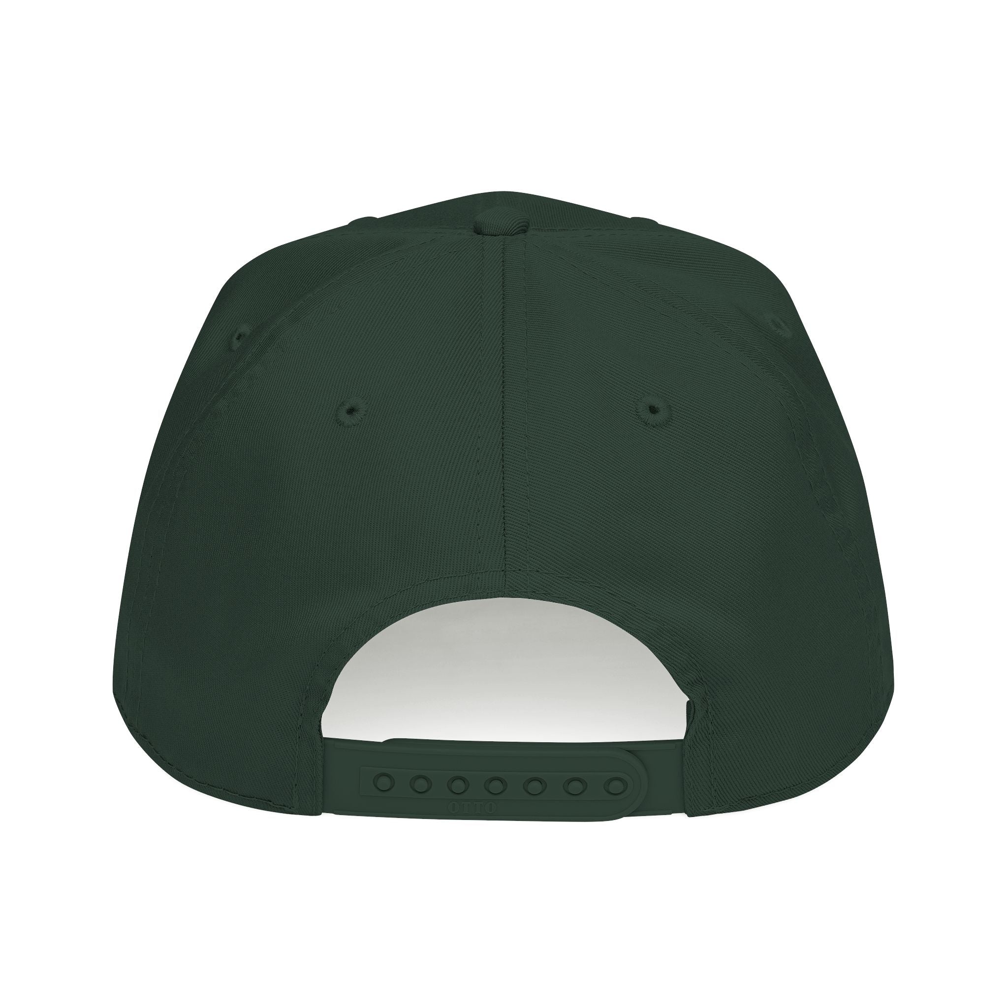 Ducks Baseball Cap