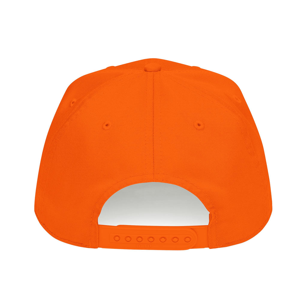 Ducks Baseball Cap